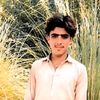 malik.tanveer313