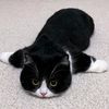 leojj258