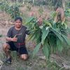chandra.wijaya55