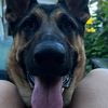 levi.that.gsd