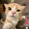 dude28368