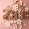 zain.aslam0011