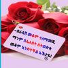 user7266548181161