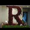 rovan.abo.elenin