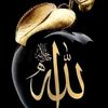 user9138261021520