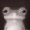 kszgxahdzfhazafjfaj