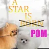 a.star.is.pom