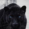 mohamedesayed998