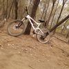 monkey_man937