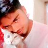Md Bini amin