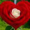 ustadwaris33221144