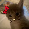 miumau62