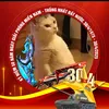 kenhihihihi20