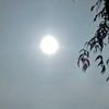 anonymous_78623