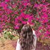 palomaalicante