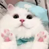nhi_phwg