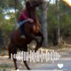 _______gedebey_____021