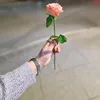 .fatima.zahra66