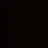 __nurel1.1
