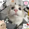 ellyhut274