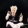 shiniurhycap