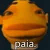 yskazu