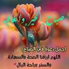 aboali.hashim