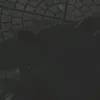 hg_257ht