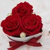 haider.alhasnawy