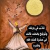omar.mohamed0716