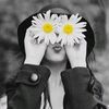 .iris_iris_