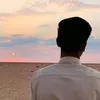 hhllg1