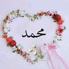 user384502916