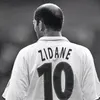 moammal_8