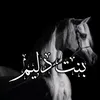 user5838876165400