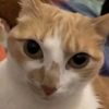 erick_25_02