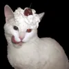 heartzxxvsp