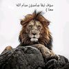 user1916686221754
