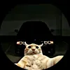 felipezhx