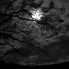 كلماتٌ رائِعَةٌ