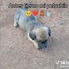karlitaycarloslue401