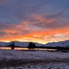albert_ormsby