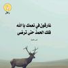 user98340853775874
