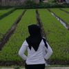 jinggaa05