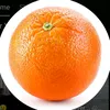 gavrie.manuel