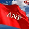 anp.team1