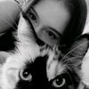 shena_710