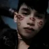 cangnho6296