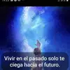 junkg.patricio.ch