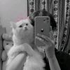 user1904133432042